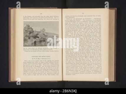 Fotoreproductie van een tekening, voorstellende struikgewas Bildwiedergabe einer Zeichnung, Darstellung von Schrubbbbentyp: Fotomechanische Druckwiedergabe Seite Objektnummer: RP-F-2001-7-964-14 Hersteller: Hersteller: Anonym zur Zeichnung von: Anonymisiertes Datum: CA. Material: Papiertechnik: Autotypie Abmessungen: Druck: H 73 mm × W 103 mmToelichtingPent Seite 124. Betrifft: Sträucher Stockfoto