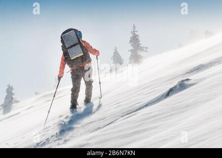 Skitouren unter extremen Winterbedingungen bei Schneesturm und blizzard Stockfoto