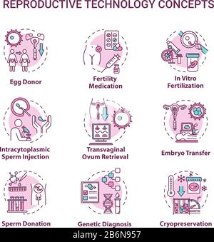 Symbole für das Konzept der Reproduktionstechnologie festgelegt. In-vitro-Fertilisation. Ei, Samenspende. Alternative Schwangerschaftsidea dünne Linien-RGB-Farbabbildungen Stock Vektor