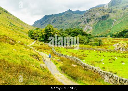 Verfallene Läufer, die Grisedale in den östlichen Fells des Lake District abstiegen Stockfoto