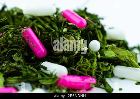 Makrofoto von einem großen Knospenstapel und Marihuanablättern mit mehrfarbigen Pillen in großen Mengen. Das Konzept, Opioide durch Cannabis zu ersetzen Stockfoto