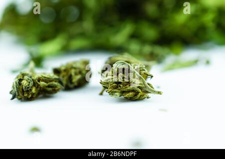 Makrofoto eines großen Pfahls von Knospen und Marihuanablättern Stockfoto