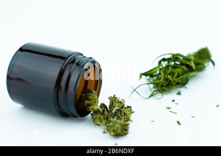 Medizinisches Fläschchen aus schwarzem Glas mit Cannabisknospen im Inneren. Medizinisches Cannabiskonzept Stockfoto