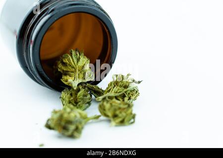 Medizinisches Fläschchen aus schwarzem Glas mit Cannabisknospen im Inneren. Medizinisches Cannabiskonzept Stockfoto