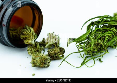 Medizinisches Fläschchen aus schwarzem Glas mit Cannabisknospen im Inneren. Medizinisches Cannabiskonzept Stockfoto