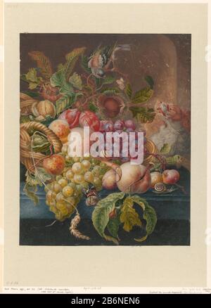 Fruitstilleven Fruit Still Objektart: Zeichnung Objektnummer: RP-T-1933-26 Hersteller: Zeichner: Herman Henstenburgh (möglicherweise) zur Zeichnung von: Anonymen Datum: 1677 - 1726 Körperliche Merkmale: Guache, und Veredelungsfarbe, auf Pergamentmaterial: Pergamentbeschichtung Gouache (Aquarell) Abmessungen: H 420 mm × W 338 mm Betreff: Stillleben von Pflanzen, Blumen und Fruchthund Stockfoto
