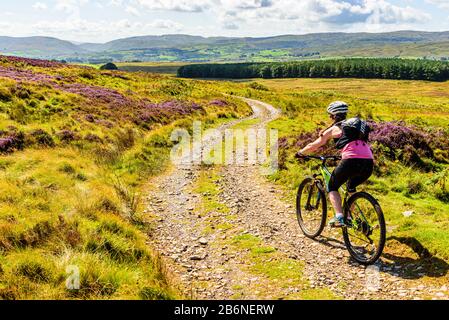 Der Mountainbiker auf Crosby-ravworth fiel in den Yorkshire Dales Stockfoto