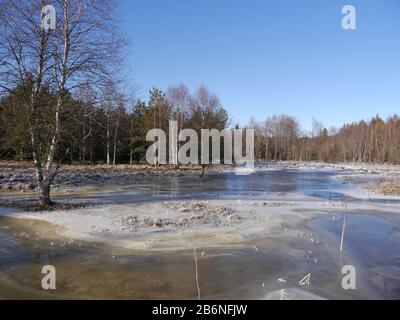 Winterlandschaft mit einem Hochwasser machen aus einem Biber Stockfoto