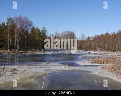 Winterlandschaft mit einem Hochwasser machen aus einem Biber Stockfoto