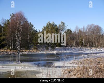 Winterlandschaft mit einem Hochwasser machen aus einem Biber Stockfoto