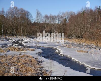 Winterlandschaft mit einem Hochwasser machen aus einem Biber Stockfoto