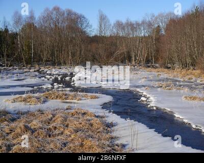 Winterlandschaft mit einem Hochwasser machen aus einem Biber Stockfoto