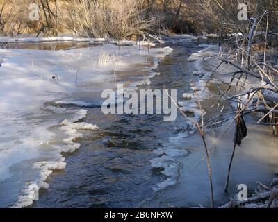 Winterlandschaft mit einem Hochwasser machen aus einem Biber Stockfoto