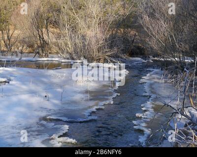 Winterlandschaft mit einem Hochwasser machen aus einem Biber Stockfoto