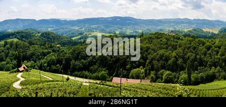 Berühmte Herzförmige Weinstraße in Österreich Slowenien Reiseziel Stockfoto