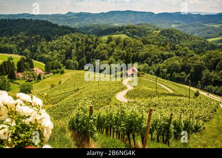 Berühmte herzförmige Wein Straße in Österreich/Slowenien Reiseziel Stockfoto