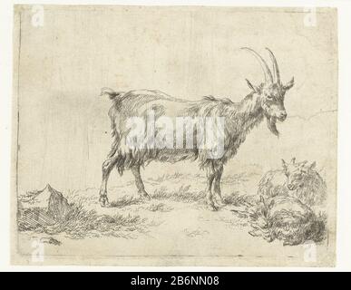 Geit traf twee jongen Geiten (serietitel) Animalia ad vivum delineata et Aqua forti aeri impressa Studio et Arte Nicolai Berchema (serietitel) Ziegenbock mit zwei jungen Ziegen (Serientitel) Animalia ad vivum delineata et Aqua forti Aeri Imprints Studio et Arte Nicolai Berchemi (Serie: Titel des Grundstücks): Titel des Objekttyps: Titel des Objekttitels RP-P-BI 967Catalogusreferentie: Bartsch 40Hollstein Dutch 40-2 (6) Kennzeichnung / Marken: Sammlermarke, unten links Verso, gestempelt: Lugt 240 Hersteller: Druckmaschine: Nicolaes Pietersz. Berchem Zu eigenem Entwurf: Nicolaes Pietersz. Berchem Herstellung: Niederlande Datum: 16 Stockfoto