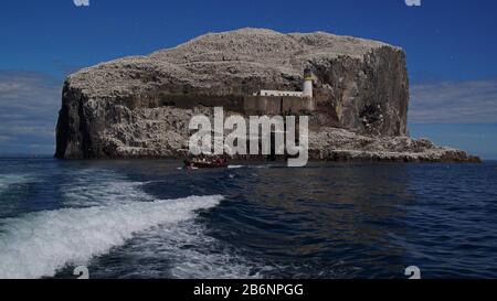 Europa, Schottland, Vereinigte Koenigreich, Großbritannen, England, Bass Rock, Stockfoto