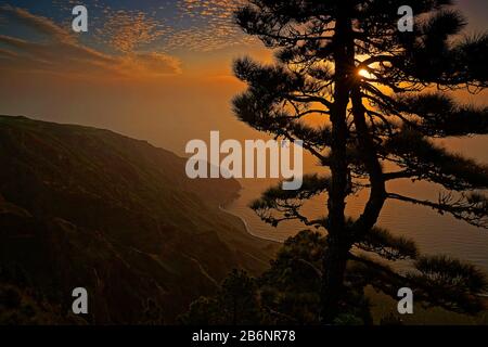 Kanarische Inseln, El Hierro, Kueste, Kiefer, Sonnenuntergang, Stockfoto