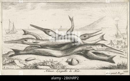 Gepen op het Strand Admos Lesguille de Mer (titel op object) Vissen en and ere zeeedieren - zouviater derde reeks (serietitel) Poissons de mer (serietitel) Garfish on strandAdmos. Lesguille de Mer. (Titelobjekt) Fisch und andere Meerestiere - Salzwasser dritte Serie (Serientitel) Poissons de mer (Serientitel) Immobilientyp: Print Seriennummer: 8 / 12Objectnummer: RP-P-1888-A-12545Catalogusreferentie: Robert-Dumesnil 446-2 (2) Der Illustrierte Bartsch 32-28 (2) Marken: Stempel Des Sammlers: 222-28 Druckerei-Redakteur Albert Flamen (denkmalgeschütztes Gebäude): Jacques Stockfoto