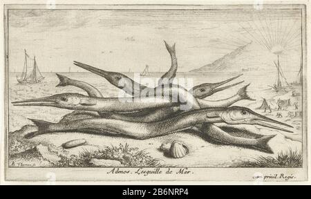 Gepen op het Strand Admos Lesguille de Mer (titel op object) Vissen en and ere zeeedieren - zouviater derde reeks (serietitel) Poissons de mer (serietitel) Garfish on strandAdmos. Lesguille de Mer. (Titelobjekt) Fisch und andere Meerestiere - Salzwasser dritte Serie (Serientitel) Poissons de mer (Serientitel) Immobilientyp: Print Seriennummer: 8 / 12Objectnummer: RP-P-1888-A-12533Catalogusreferentie: Robert-Dumesnil 446-1 (2) Der Illustrierte Bartsch 32-28 (2) Marken, Stempel Des Sammlers: 222-28 Druckerei-Redakteur Albert Flamen (denkmalgeschütztes Gebäude): Jacques Stockfoto