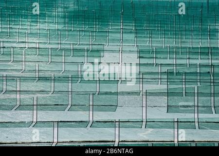 Blätter aus grünem, mildem Klarglas Stockfoto