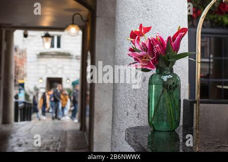 Blumenstrauß aus roten Kallas und Lilienblättern in einer hohen grünen Glasvase an einem Restaurantschalter in Covent Garden Stockfoto