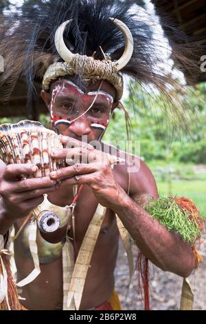 dh Kopfkleid Gesicht malen Führer ALOTAU PAPUA NEUGUINEA traditionelle PNG nativen Krieger Mann weht in Muschel Stamm konfrontiert Tribesman Kultur Stockfoto