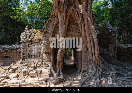 TA Som Temple in Kambodscha in der Nähe von Angkor Wat Stockfoto