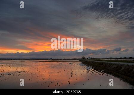 Ein schöner Sonnenuntergang auf den Reisfeldern in der Nähe der Lagune von Valencia Spanien. Stockfoto