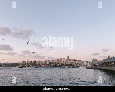 Die Galata-Brücke und der Galata-Turm am Bosporus in Istanbul, Türkei. Blick auf Istanbul mit vielen Möwen und bewölktem Himmel. Bezirk Karakoy und Stockfoto