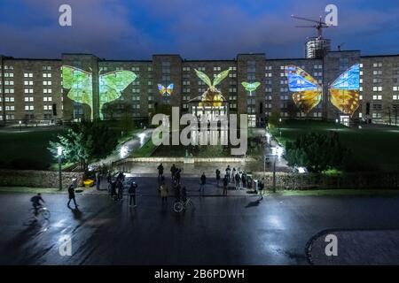 Frankfurt, Deutschland. März 2020. "Vor Dem Erlöschen" heißt die Lichtinstallation an der Fassade der Goethe-Universität, bei der die Rückseite des Gebäudes mit unterschiedlichen Szenarien beleuchtet wird. Bis zum 15. März sind zahlreiche Lichtanlagen in Frankfurt und in Offenbach-Stadt zu sehen. Credit: Dpa Picture Alliance / Alamy Live News Stockfoto