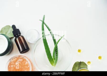 Natürlich kosmetischer Hautpflegebinde und organisch grünes Aloeblatt mit Vitamin C auf weißem Hintergrund. Hausgemachte Mittel- und Schönheitsproduktes Konzept. Stockfoto