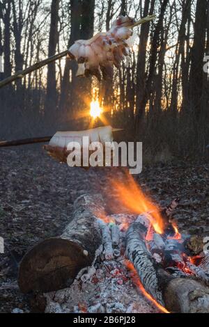 Starke gebratenem Speck auf dem Spieß. Lagerfeuer kochen. Nahaufnahme Blick. Stockfoto