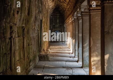 Der Ta Prohm Tempel in der Nähe von Angkor Wat in Kambodscha Stockfoto