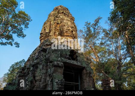 Der Ta Prohm Tempel in der Nähe von Angkor Wat in Kambodscha Stockfoto