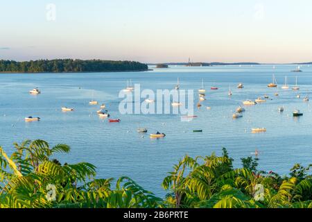 Segelboote ankerten in Portland, Maine. Stockfoto