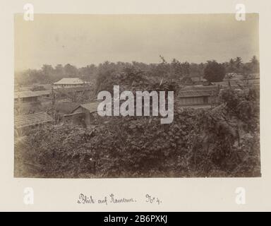 Gezicht op de omgeving van een gouvernementsgebouw in Kameroen Bild 4 ein Panorama von 4. Teil des Albums mit Kamerun-Aufnahmen um 1899. Hersteller : Fotograf : anonymer Ort Herstellung: Kamerun Datum: 1899 Physikalische Eigenschaften: Albumin Druckmaterial: Fotopapier Technik: Albumin Druckgrößen: H 132 mm × W 199 mm Betreff: Wald, Holzaussicht oder Dorf, Silhouette oder Dorf wo: Kamerun Stockfoto