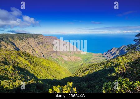 Vereinigte Staaten von Amerika, Hawaii, Kauai-Insel, Kokee State Park, Napali-Küste, Pali-Klippen am Kalalau-Aussichtspunkt Stockfoto