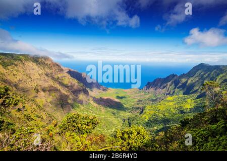 Vereinigte Staaten von Amerika, Hawaii, Kauai-Insel, Kokee State Park, Napali-Küste, Pali-Klippen am Kalalau-Aussichtspunkt Stockfoto