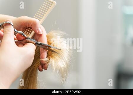 Professionelle Friseursalon, die die Enden ihrer Kundin zerteilt Stockfoto