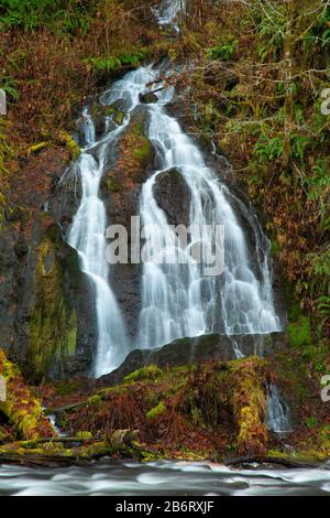 Wasserfall am Alder Glen Campground, Nestucca River State Scenic Waterway, Nestucca Back Country Byway, Oregon Stockfoto