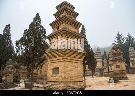 Brick Gräber von eminenter Mönche in der Pagode Wald Friedhof an der Shaolin Tempel. Shaolin Tempel in berühmt für Kung Fu und wird in der Nähe von Dengfeng in Henan Provin Stockfoto