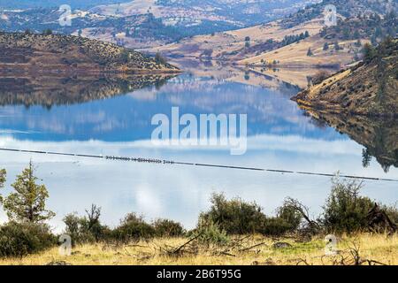 Vögel thronten am Blockboom am Iron Gate Lake Reservoir in der Nähe von Hornbrook, Kalifornien, USA Stockfoto