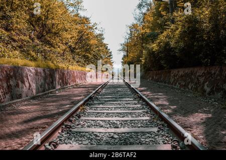 Eisenbahn in Südkorea. Verlassene Eisenbahn umgeben von Bäumen Stockfoto