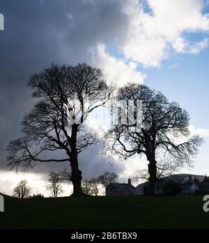 St. Ninias Kirche und Winterbäume. Lamington, South Lanarkshire, schottische Grenzen, Schottland Stockfoto