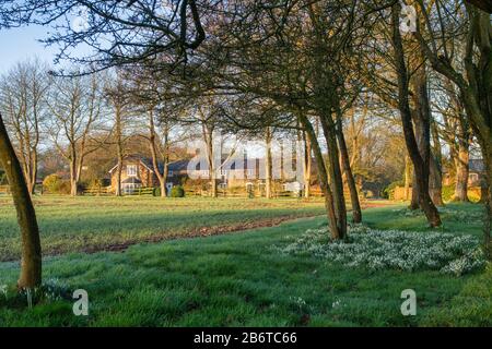 Wiltshire Haus neben der Klench üblich am Morgen Wintersonne. Marlborough, Wiltshire, England Stockfoto