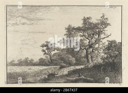 Het korenveld Der cornfield-Objekttyp: Bild Artikelnummer: RP-P-1889-A-14865Catalogusreferentie: Hollstein Dutch 5-4 (5) Kennzeichnung / Marken: Sammlermarke, verso unten links, gestempelt: Lugt 2228 Hersteller : Druckerhersteller Jacob Isaacksz von Ruisdael (denkmalgeschütztes Gebäude) in seinem Entwurf: Jacob Rujackhael Herstellung: Spacerden van Widackgass Niederlande Datum: 1648 - 1679 Physikalische Merkmale: Ätzung, Engras und Trockenpunkt Material: Papiertechnik: Ätzung / Trockenpunkt / Egras (Druckverfahren) Abmessungen: Plattenkante: H 102 mm × W 151 mm Betreff: Baumkultivat Stockfoto