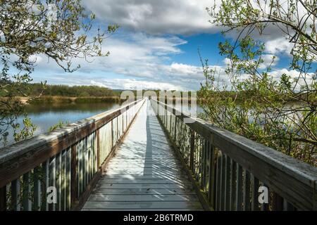 Holzsteg durch den See. OSO Flaco Lake Trail im Oceano Dunes State Vehicular Recreation Area, Kalifornien Stockfoto