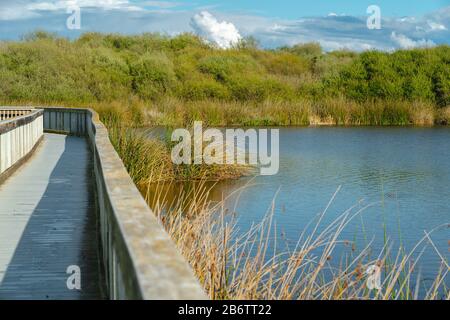 Boardwalk auf dem Oso Flaco Lake Trail im Oceano State Vehicular Recreation Area, Kalifornien Stockfoto